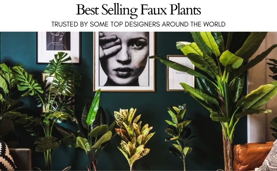 To The Artiplanto Family 🌿 Artiplanto