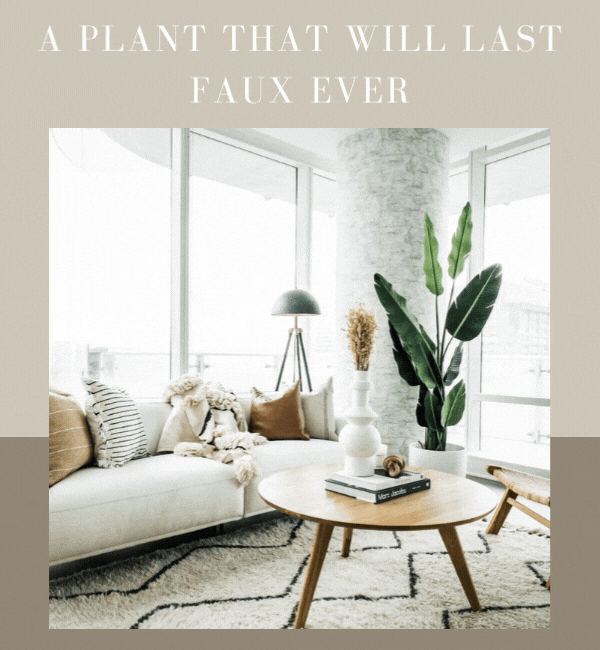 😍 A Plant That Will Last Faux Ever Artiplanto