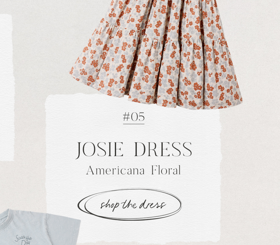 Josie Dress Americana Floral