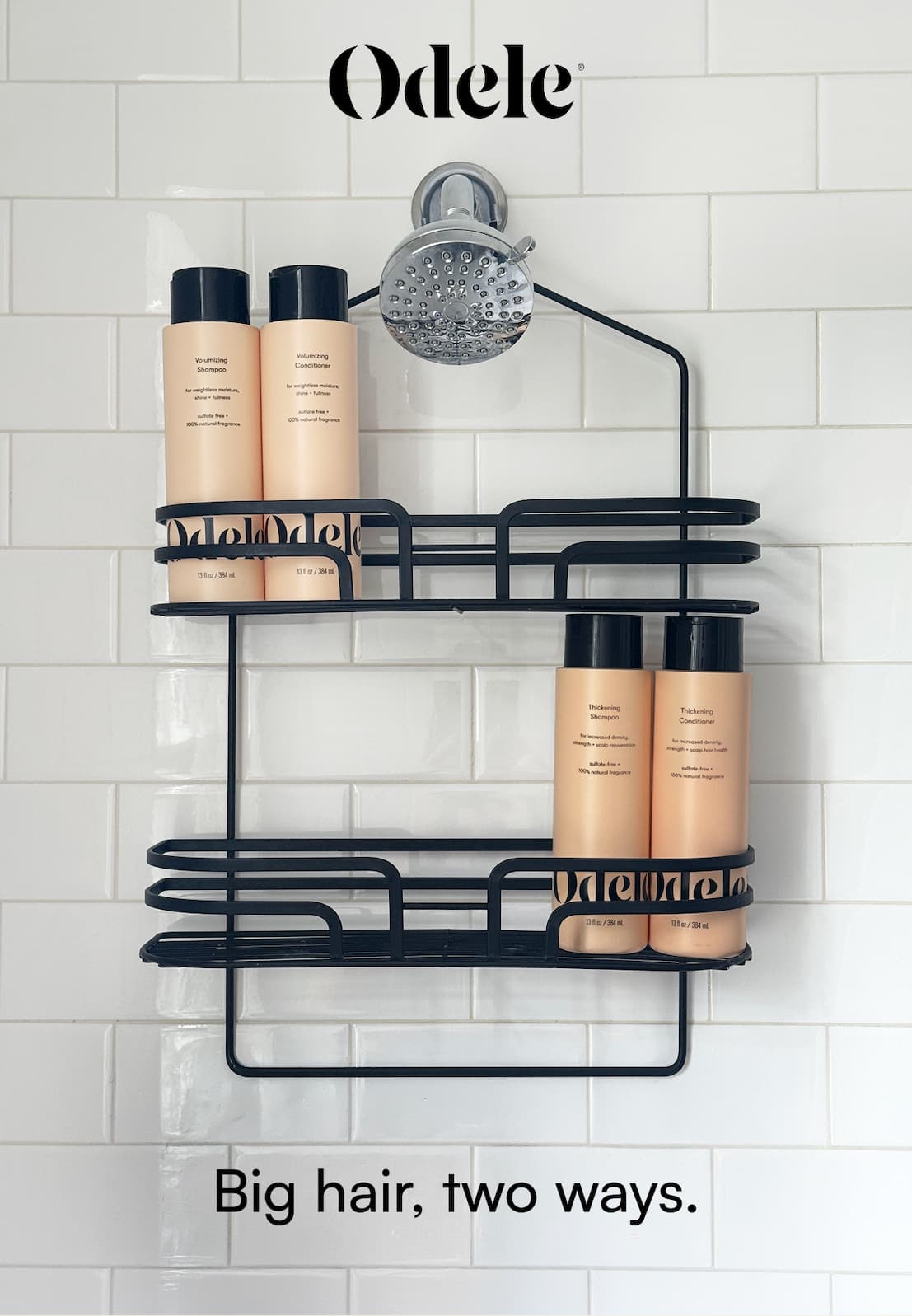 Image of Shampoos and Conditioners in a tile shower