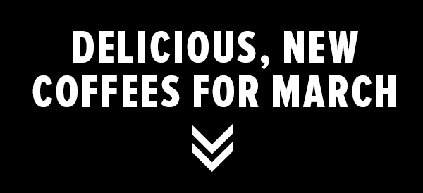 Delicious, New Coffees for March.