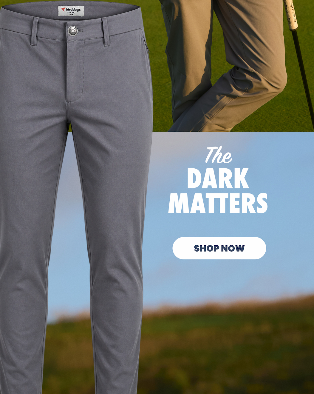 The Dark Matters