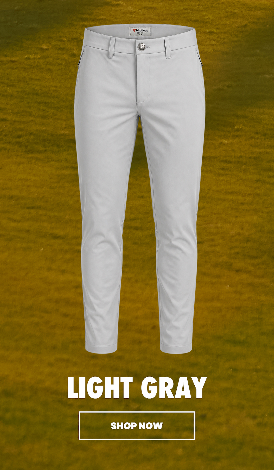 Light Gray