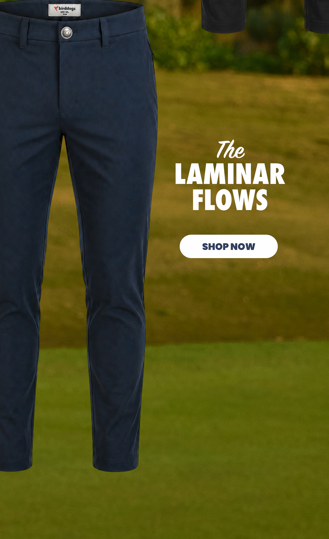 The Laminar Flows