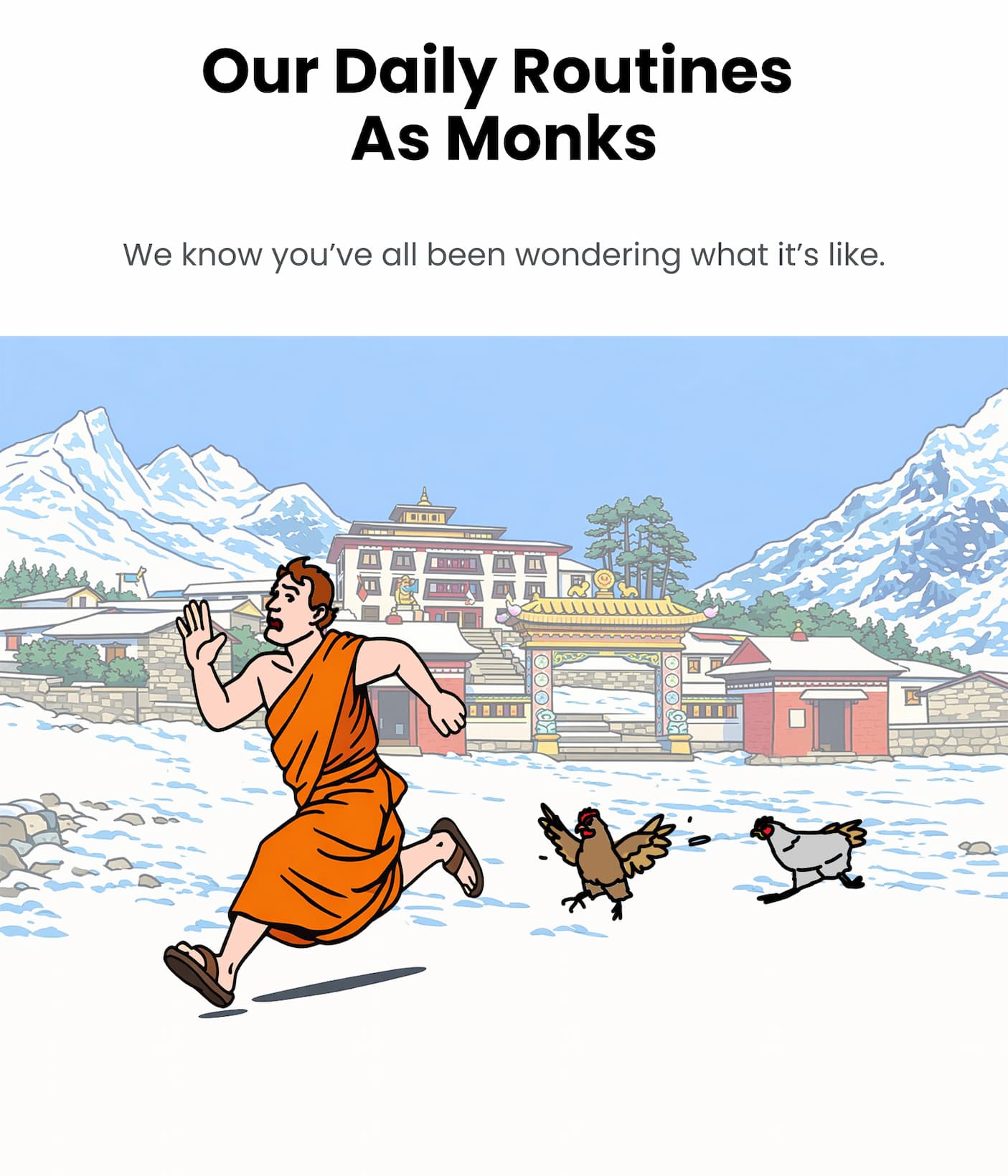 Day in the Life of a birddogs Monk