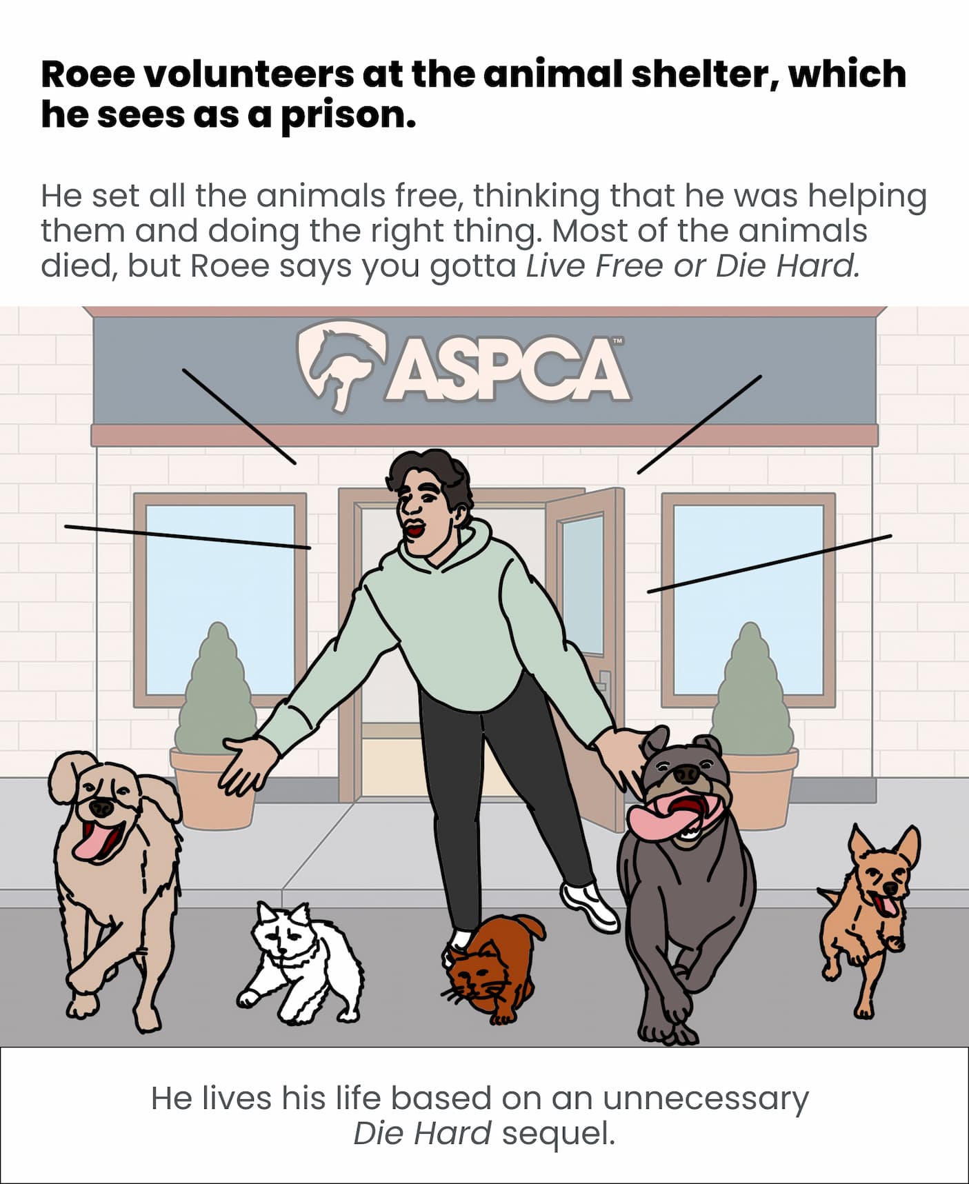 Roee volunteers at the animal shelter