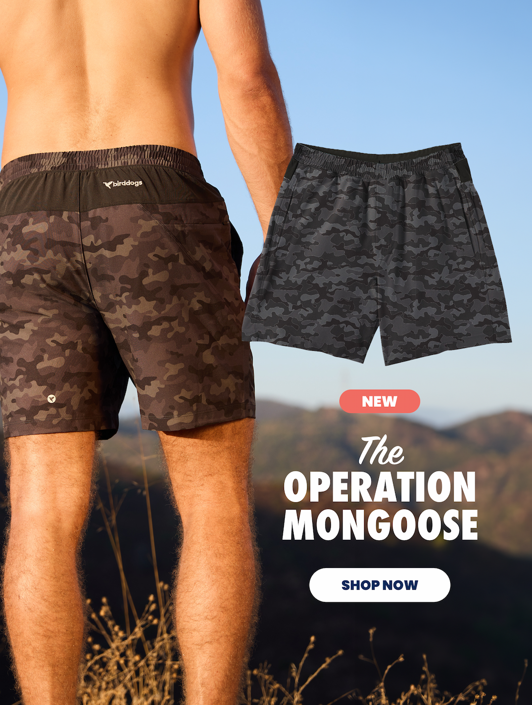 The Operation Mongoose