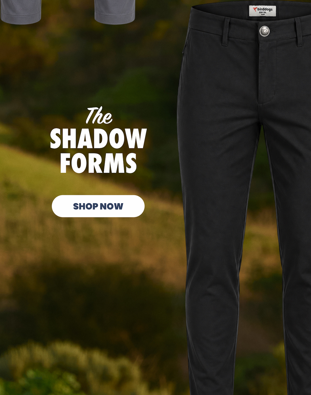 The Shadow Forms