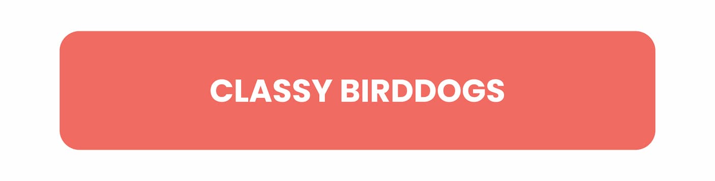 Classy birddogs