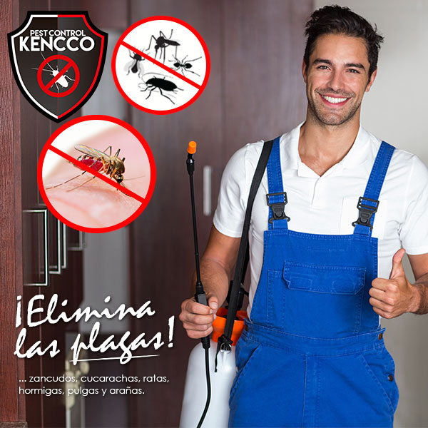 76% de DESCUENTO en KENCCO