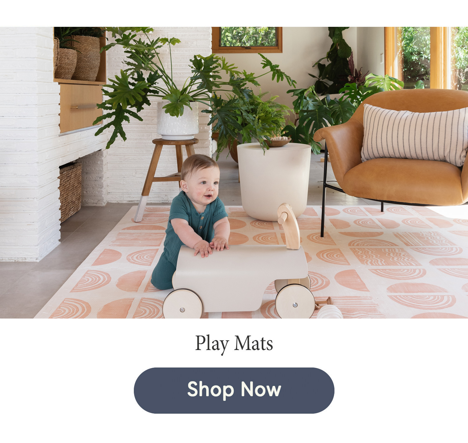 A Closer Look at Ada the House of Noa