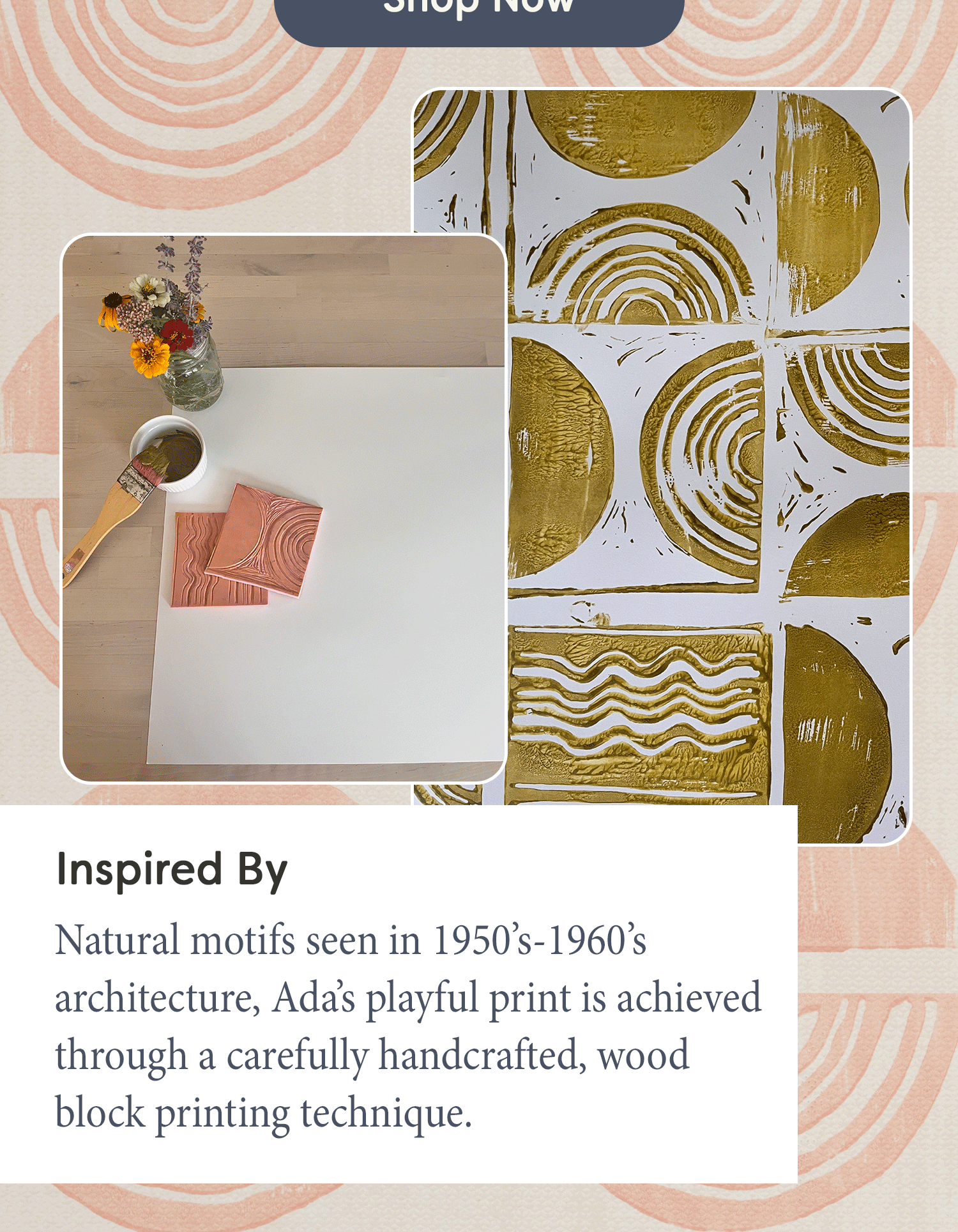 A Closer Look at Ada the House of Noa