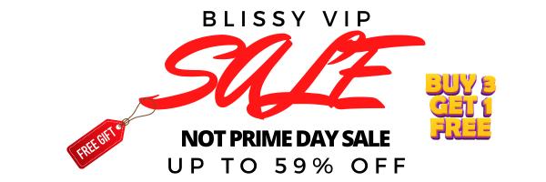 Blissy Email Logo top
