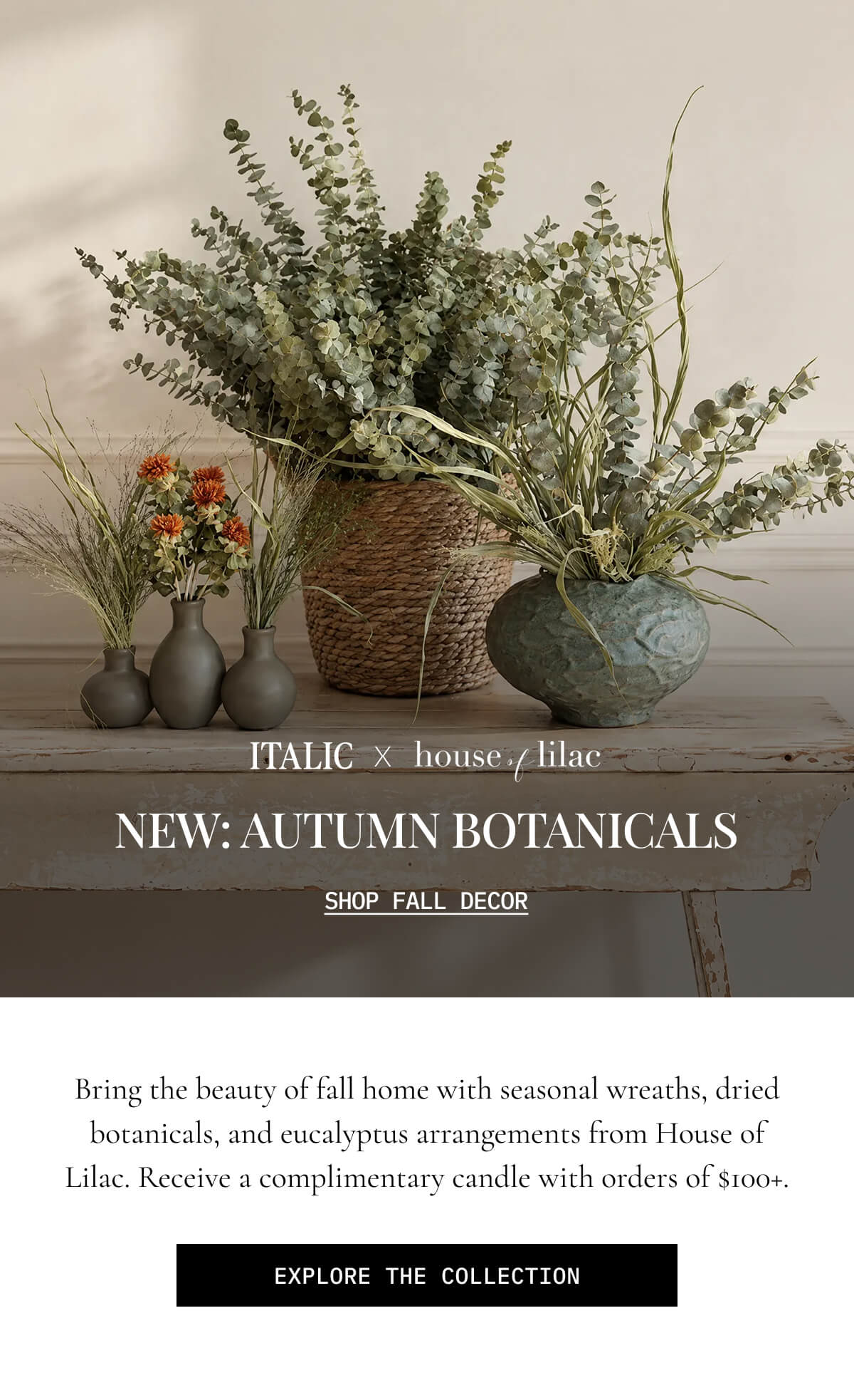 ITALIC | NEW: Autumn Botanicals