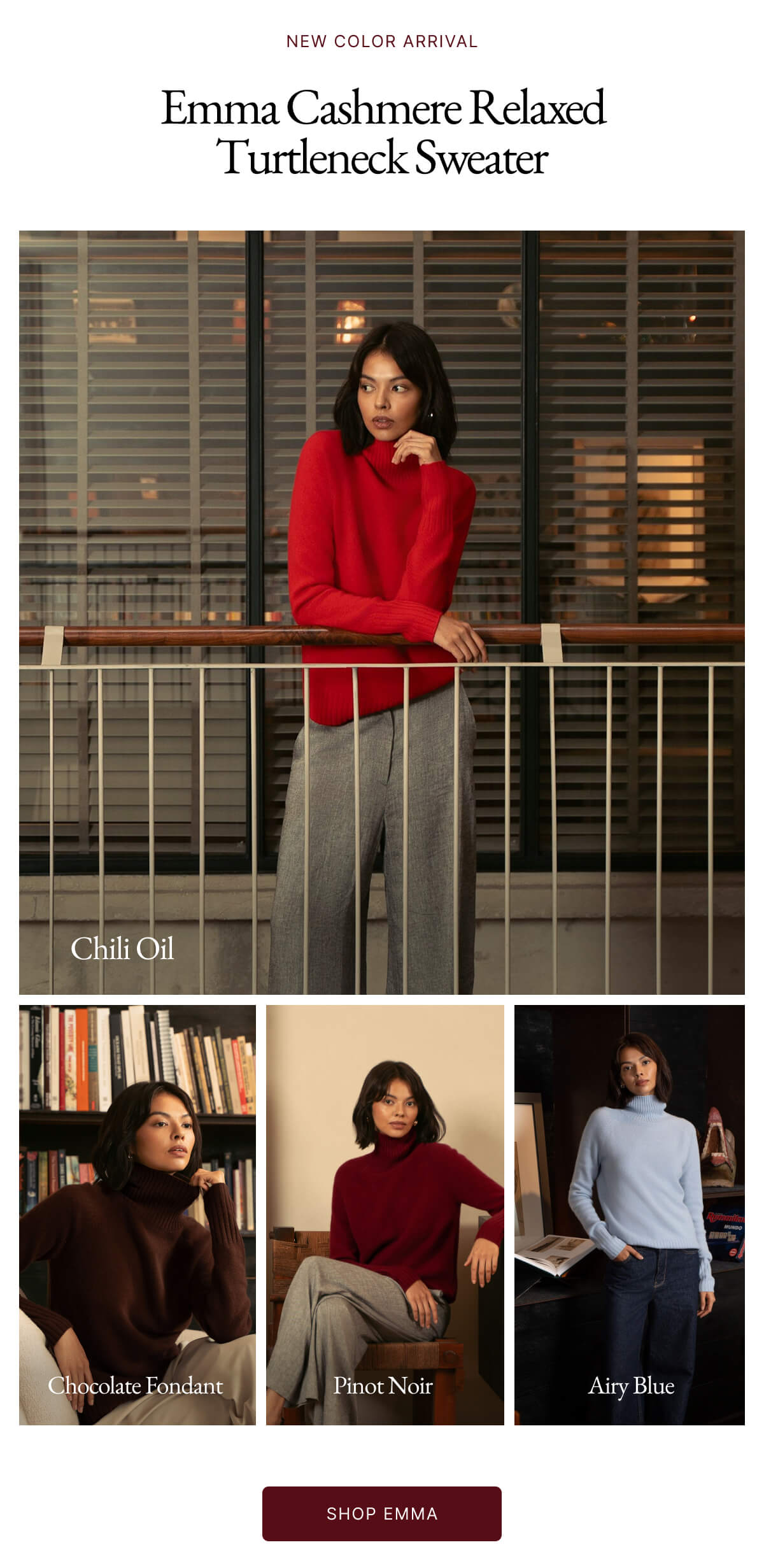 NEW ARRIVAL Emma Cashmere Relaxed Turtleneck Sweater