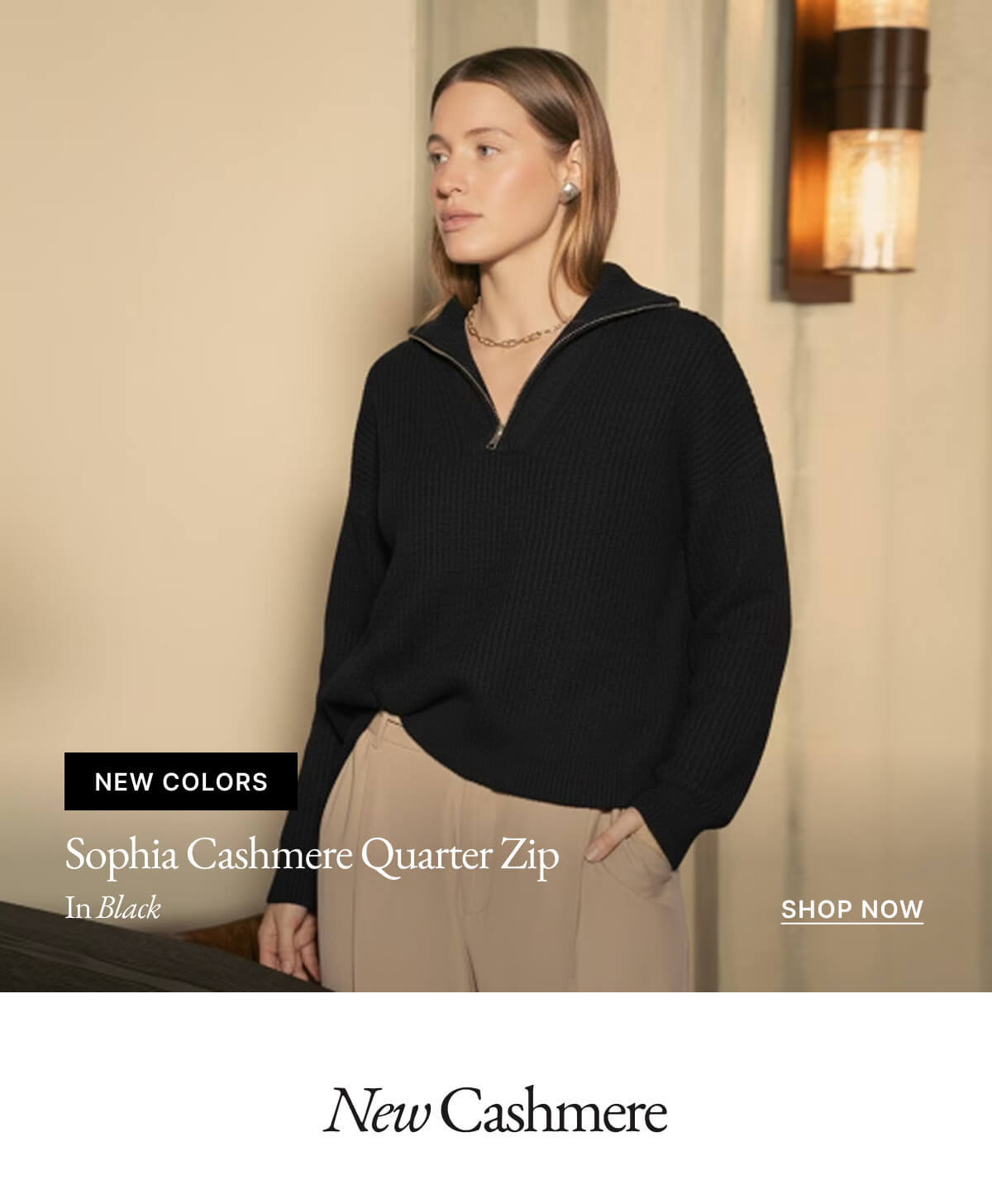 NEW COLORS Sophia Cashmere Quarter Zip In Black