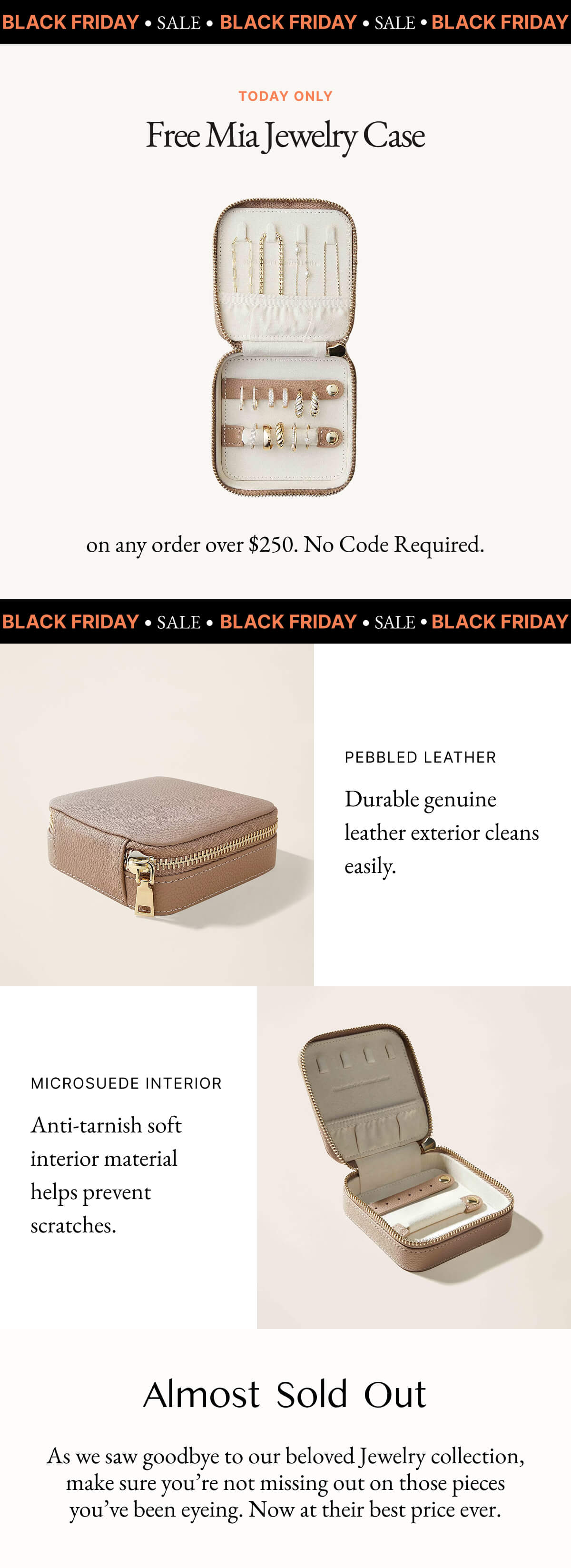 Free Mia Jewelry Case