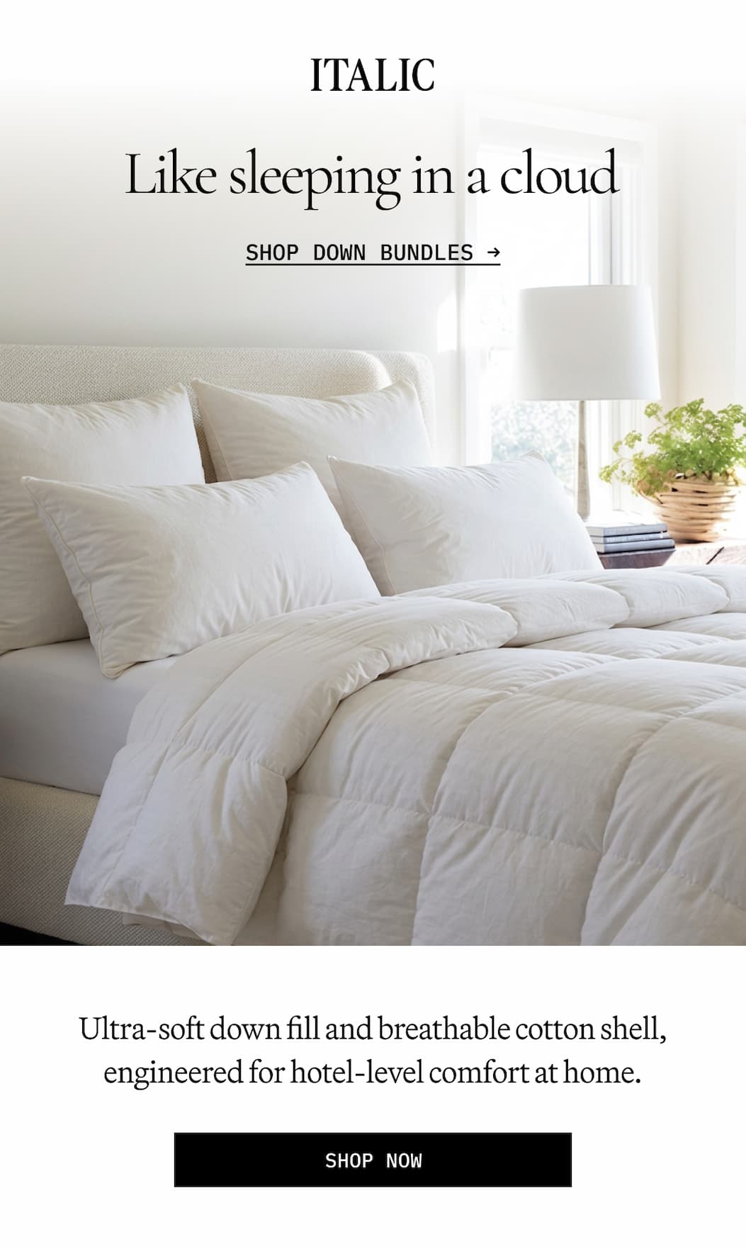 ITALIC | Like Sleeping in a cloud