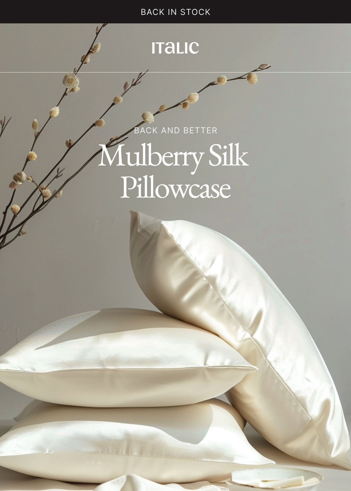 Mulberry Silk Pillowcase