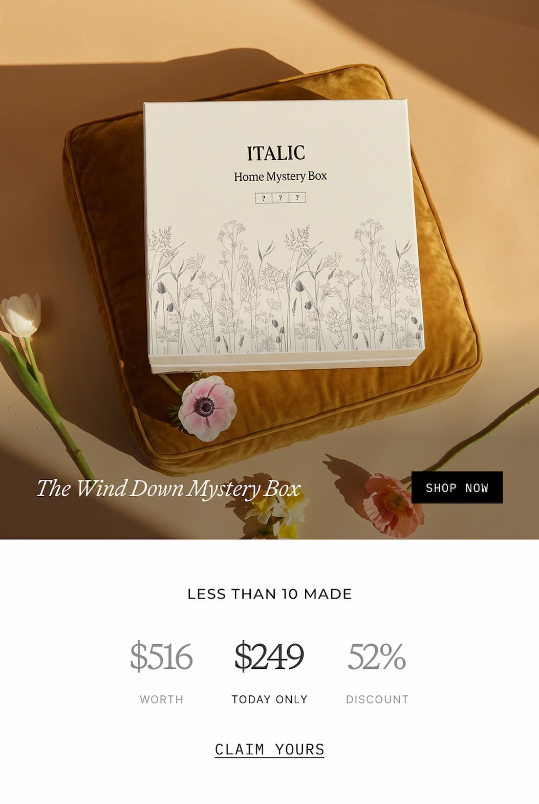 ITALIC | The Wind Down Mystery Box