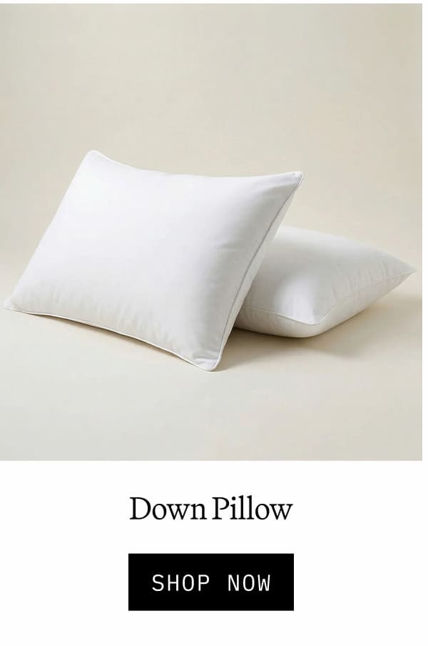 Down Pillow