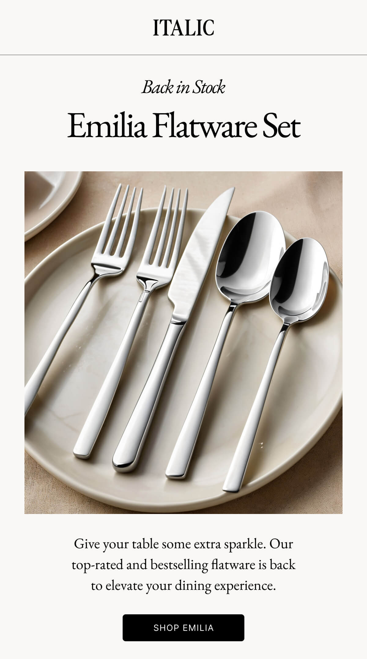 Emilia Mirror 20-Piece Flatware Set