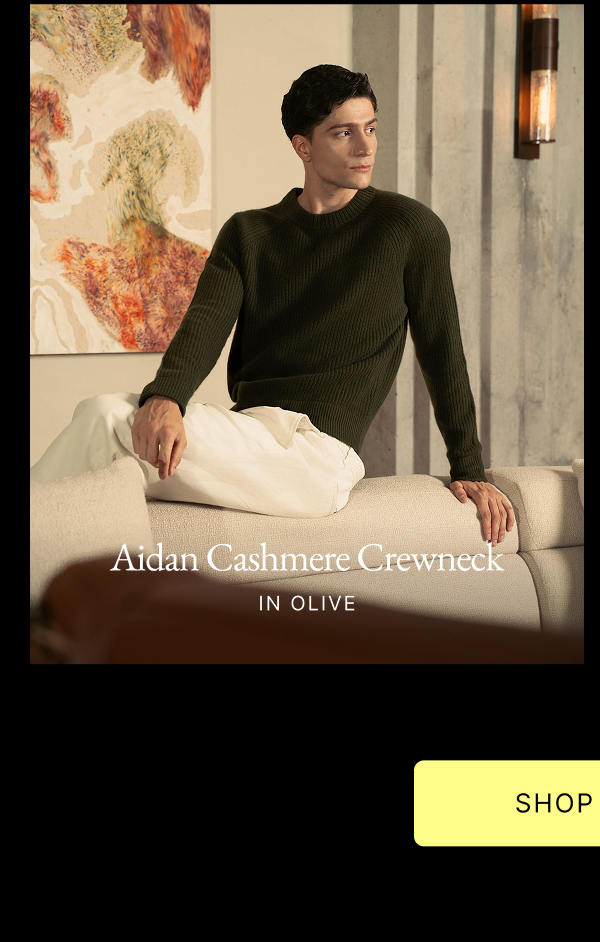 Aidan Cashmere Crewneck