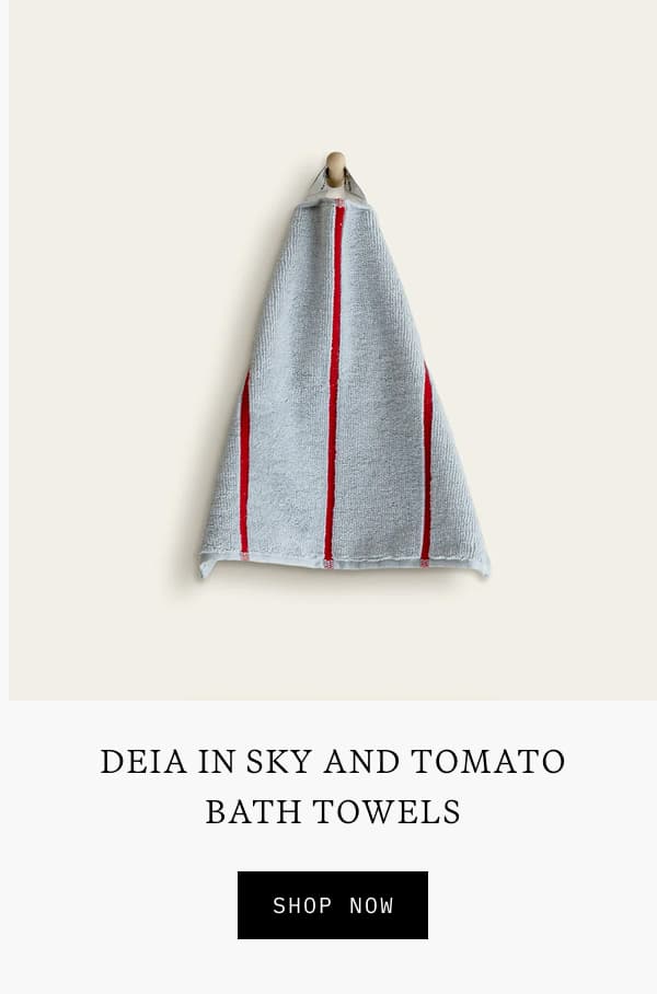 Washcloth Towel
