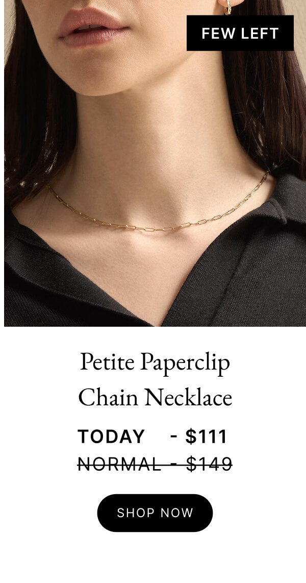 Petite Paperclip Chain Necklace