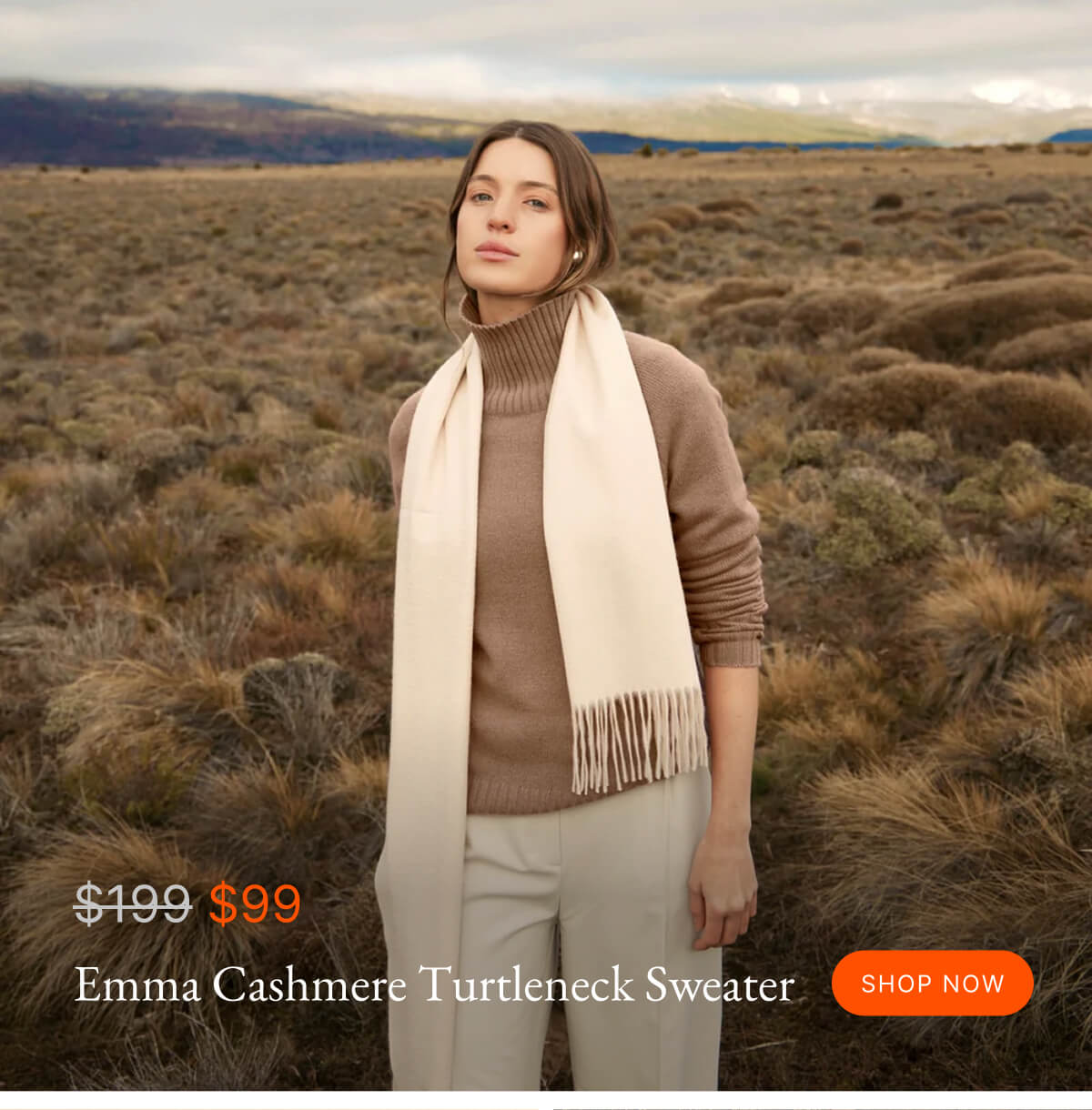 Emma Cashmere Turtleneck Sweater