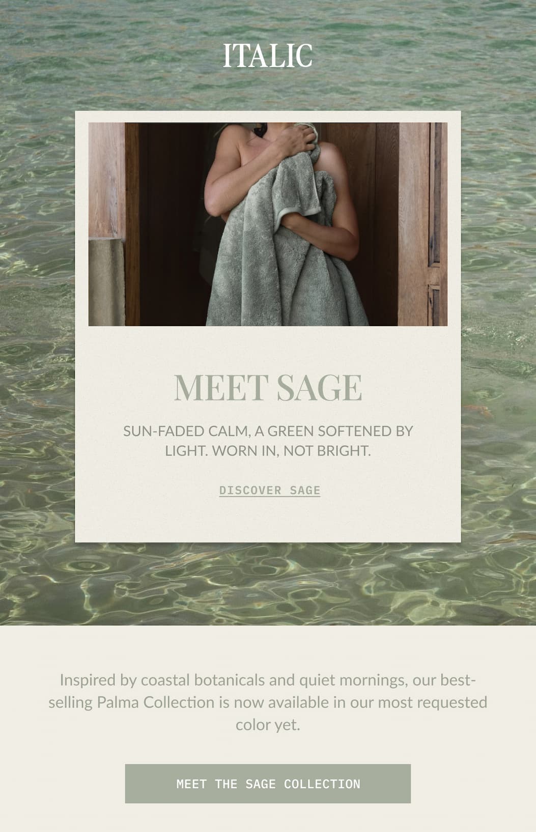 ITALIC | Meet Sage