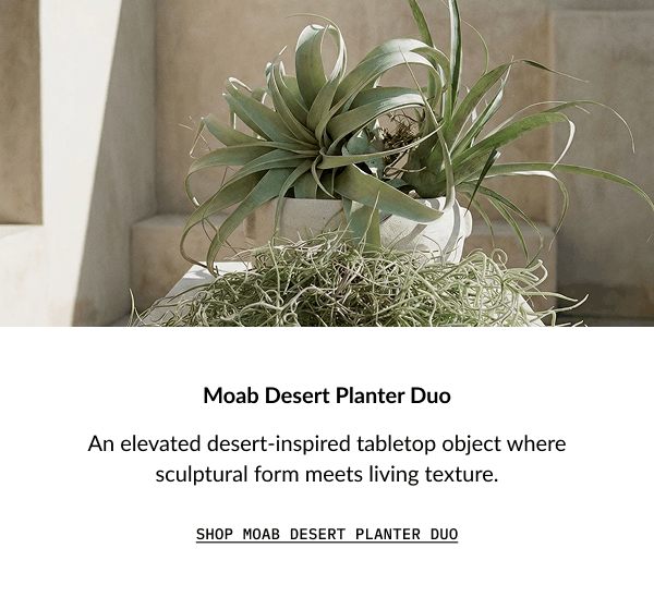 Moab Desert Planter Duo
