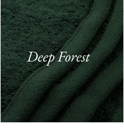 Deep Forest