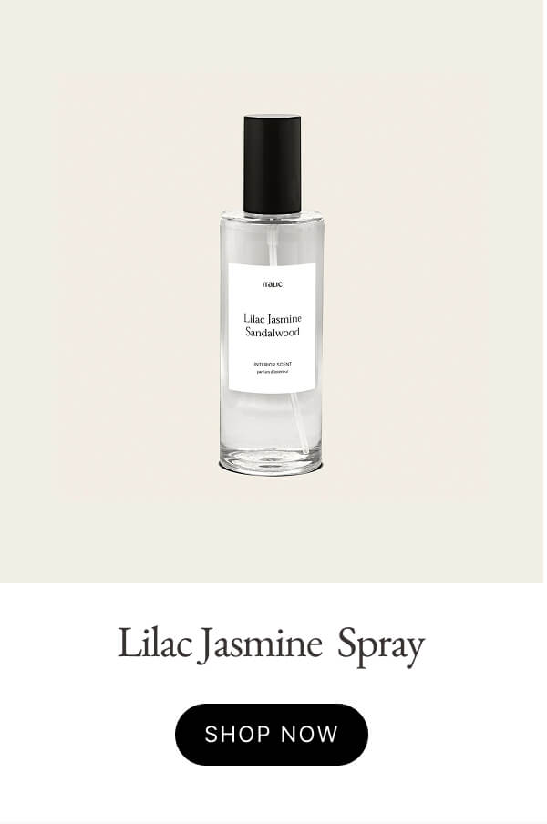 Lilac Jasmine Spray Lilac Jasmine Spray