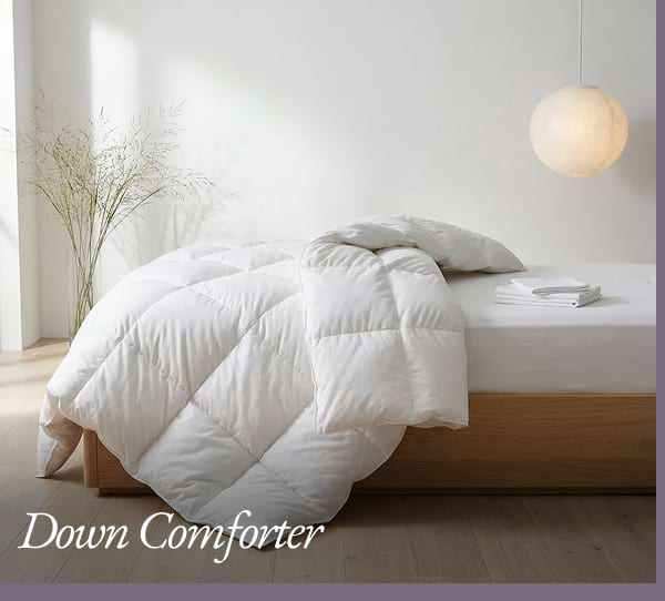 Down Comforter
