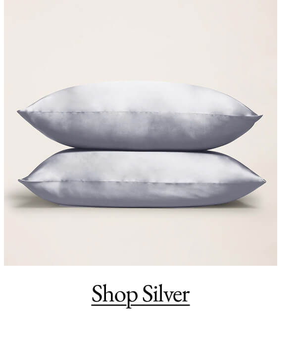 Silver Silk Pillowcase