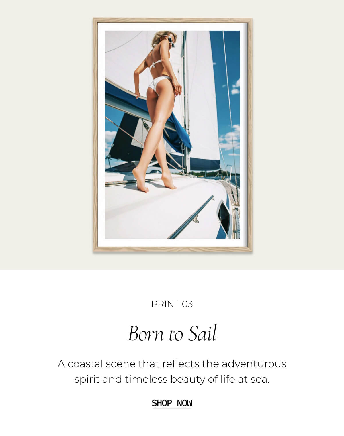 Born To Sail Wall Decor by HELM + OAR