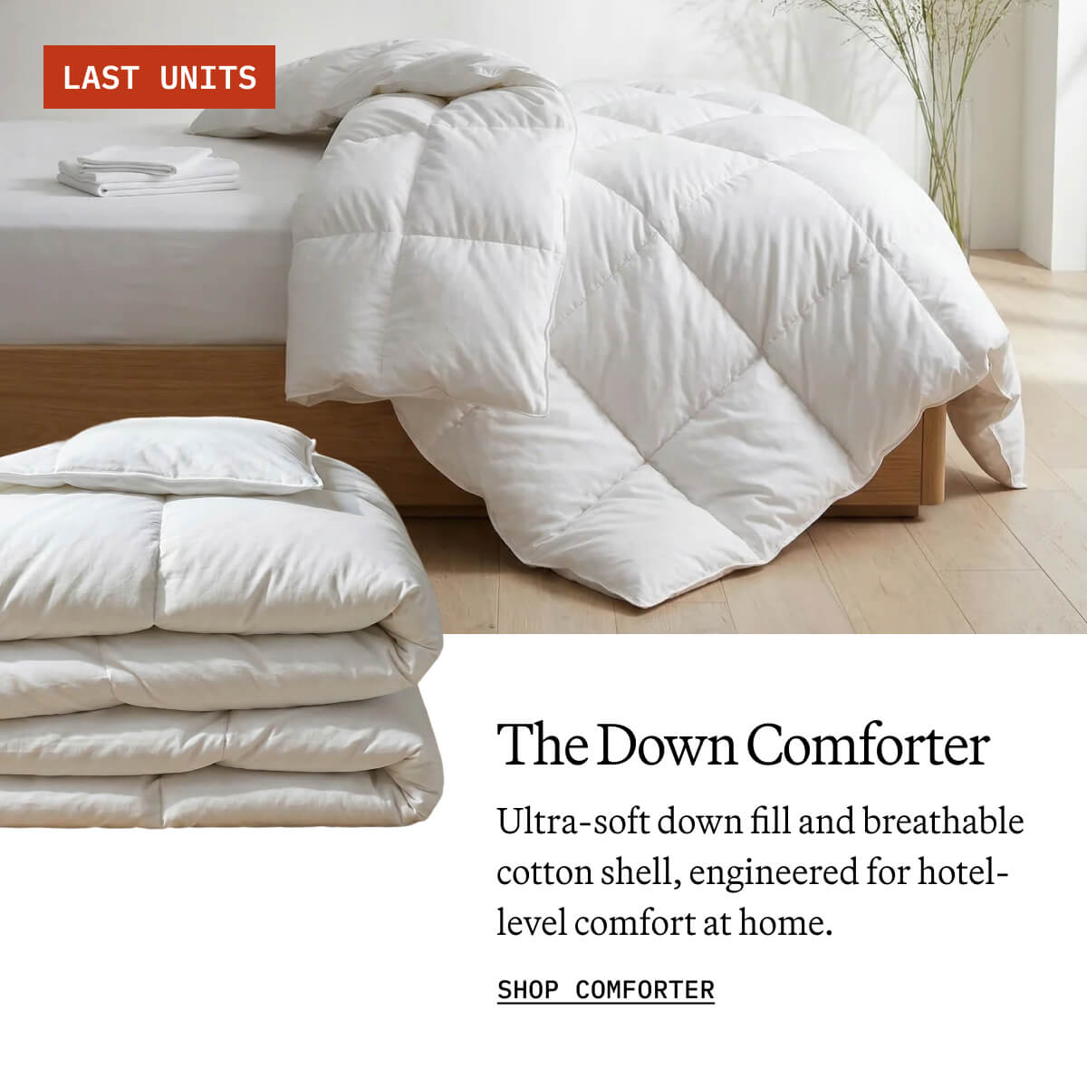 ITALIC | Down Comforter