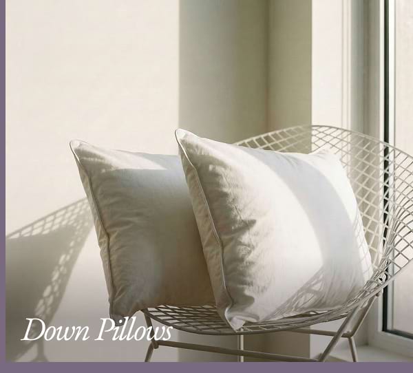 Down Pillows