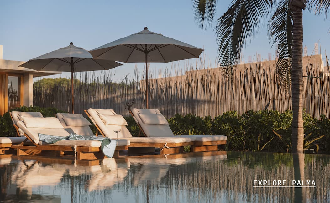 ITALIC | The Palma Collection