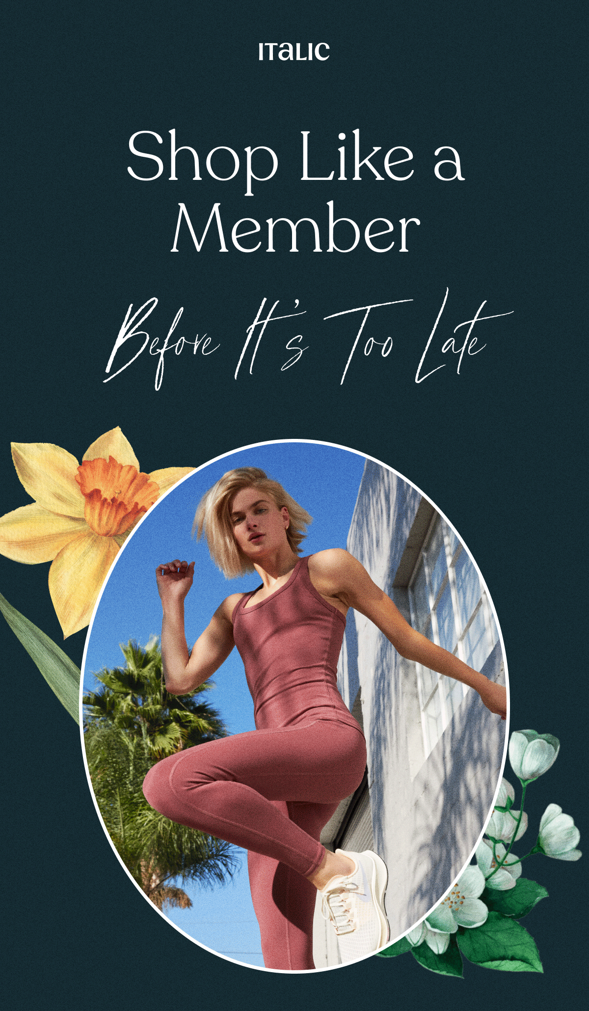 Italic | Shop Like A Member | Before It's Too Late
