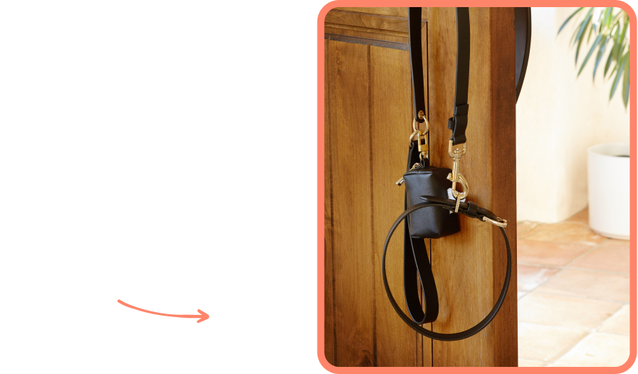 ...YOUR FURRY FRIEND Leather Walk Set