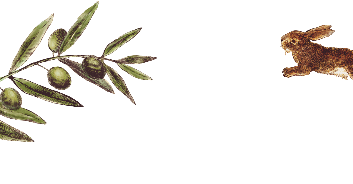 Boldness Is Rewarded
