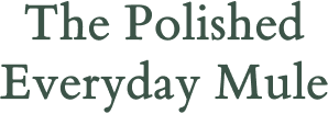 The Polished Everyday Mule