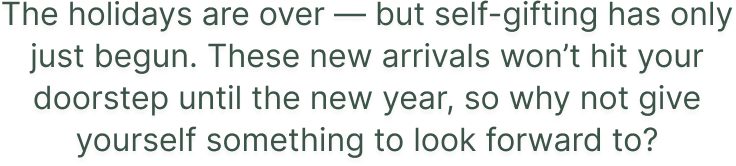 The holidays are over â€” but self-gifting has only just begun. These new arrivals wonâ€™t hit your doorstep until the new year, so why not give yourself something to look forward to?