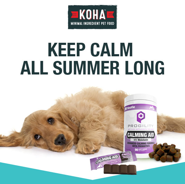 progility calming chews