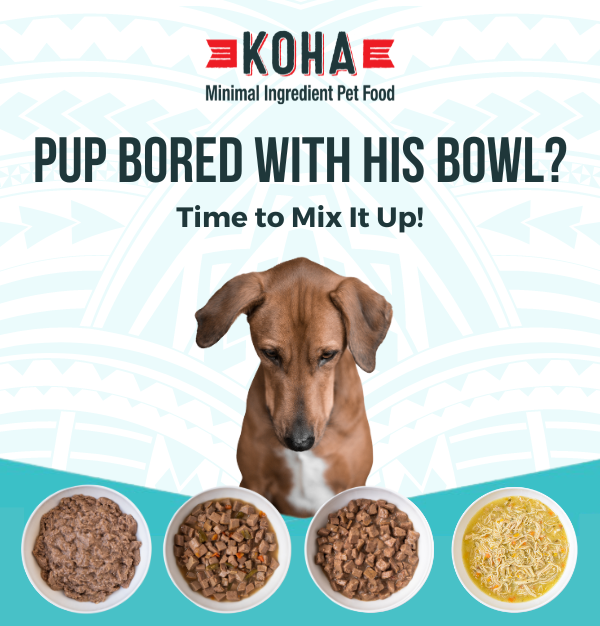 Mix Up Your Dog's Meal 😋 Koha Pet
