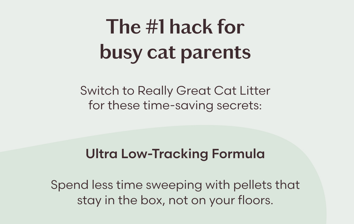 Really Great Cat Litter