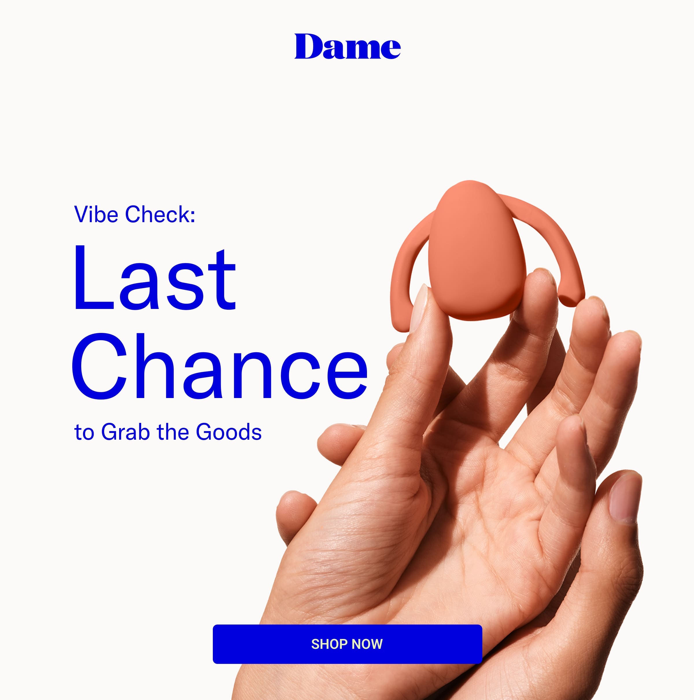 Vibe Check: Last Chance to Grab the Goods