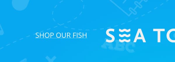 SEA TO TABLE